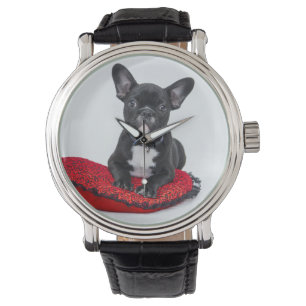 Montre Adorable Black and White Bulldog Puppy Photo
