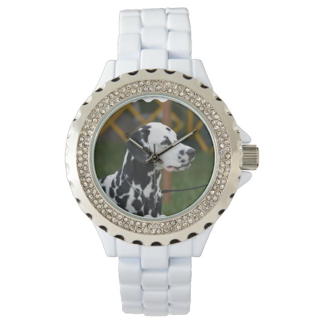 Montre adorable Dalmatien (devant)