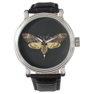 Montre african death head moth butterfly insect Acheronti
