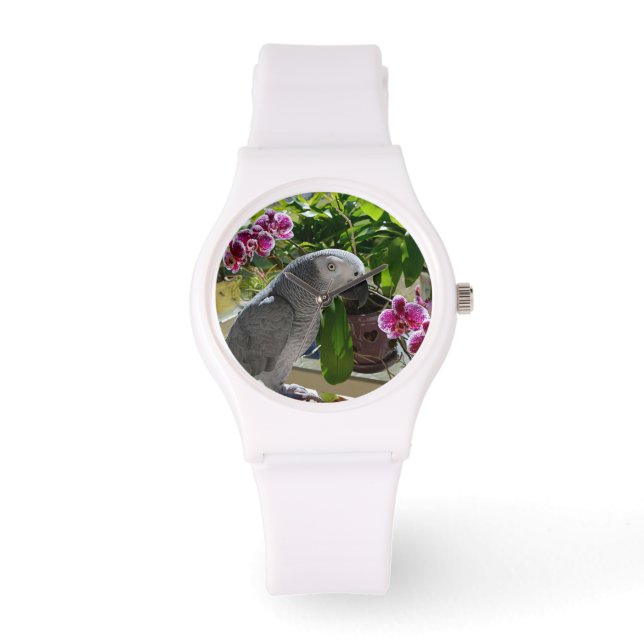 Montre African Grey Parrot with Orchids (Recto)