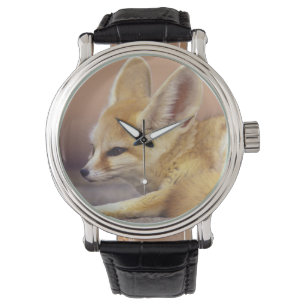 Montre Afrique du Nord. Fennec Fennecus zerda)