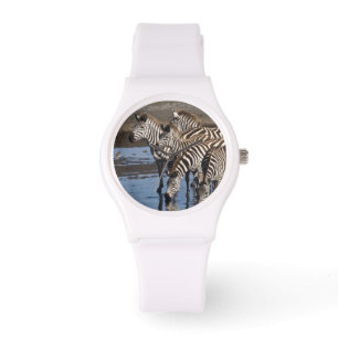 Montre Afrique. Tanzanie. Zèbres buvant à Ndutu