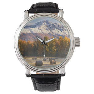 Montre Agriculture de l'Alaska