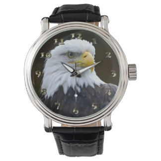 Montre Aigle à tête blanche américaine