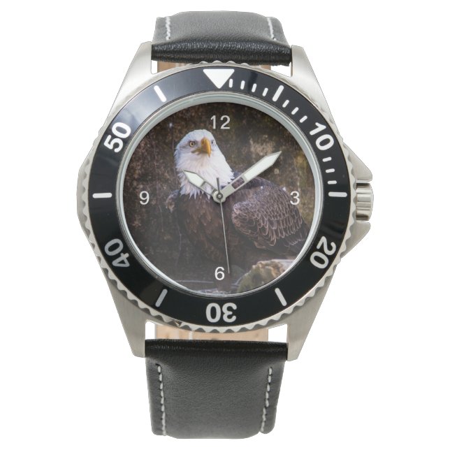 Montre Aigle de Bald (devant)