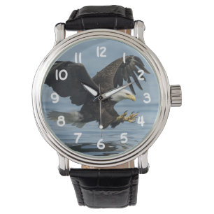 Montre Aigle en approche
