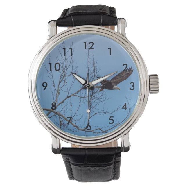 Montre Aigle en vol (devant)