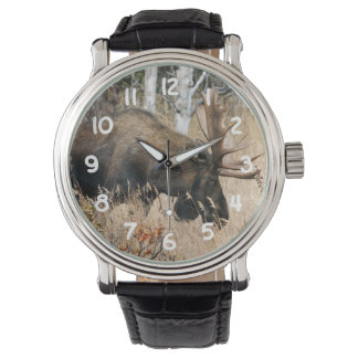 Montre Aiguille