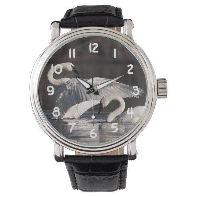 Montre Aimer les cygnes (devant)