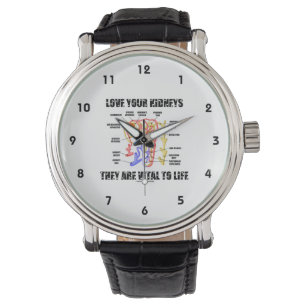 Montre Aimez vos reins qu'ils sont essentiels à la vie
