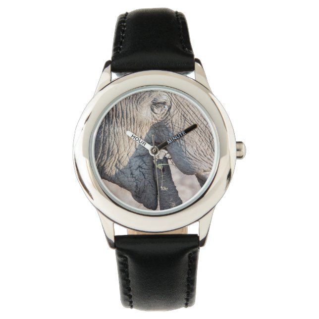 Montre Alimentation des éléphants (devant)