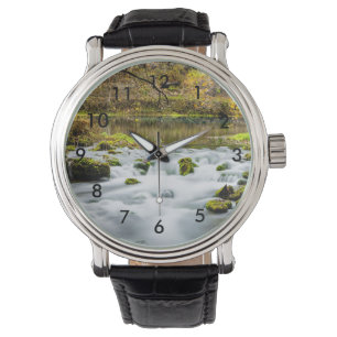 Montre Alley Springs Rapids