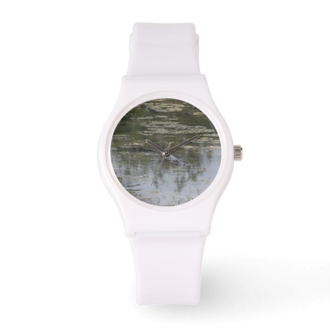 Montre Alligator (Recto)