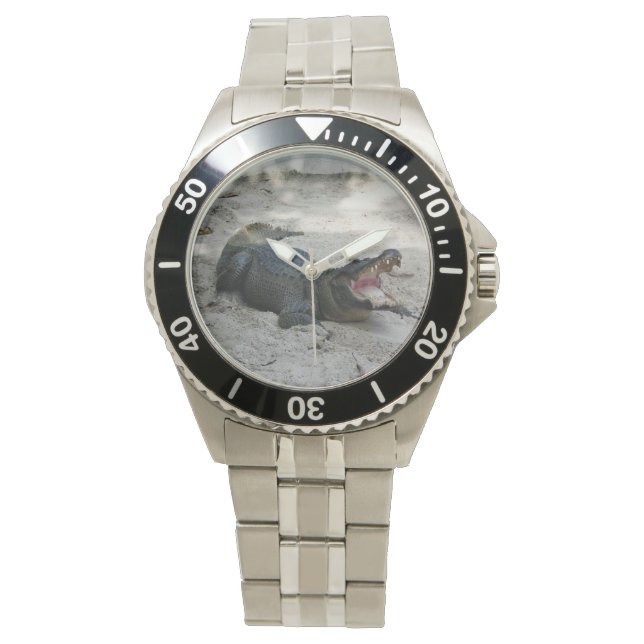 Montre Alligator, Fort Lauderdale, Floride (devant)