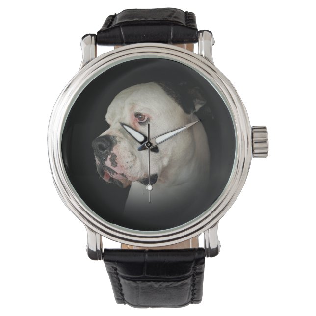 Montre American Bull Dog Portrait (devant)