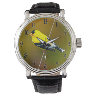 Montre American Goldfinch - Photo originale