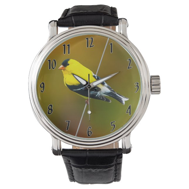 Montre American Goldfinch - Photo originale (devant)
