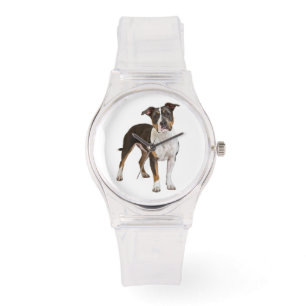 Montre American Staffordshire Terrier Puppy Dog - Amstaff