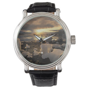 Montre Amérique du Nord, États-Unis, Alaska, Ice Bay, pay