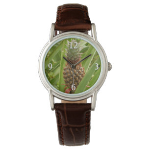 Montre Ananas sauvage Fruit tropical dans la nature