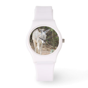Montre Âne gris