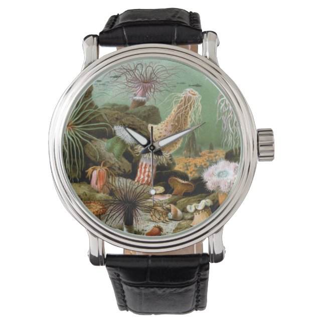 Montre Anémones de mer Vie marine, Animaux de l'océan vin (devant)