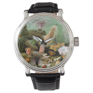 Montre Anémones de mer Vie marine, Animaux marins vintage