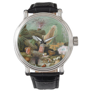 Montre Anémones de mer Vie marine, Animaux marins vintage
