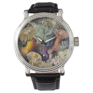 Montre Anémones de mer vintage, Actiniae par Ernst Haecke