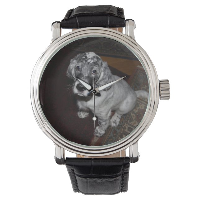 Montre Anglais Setter Puppy (devant)