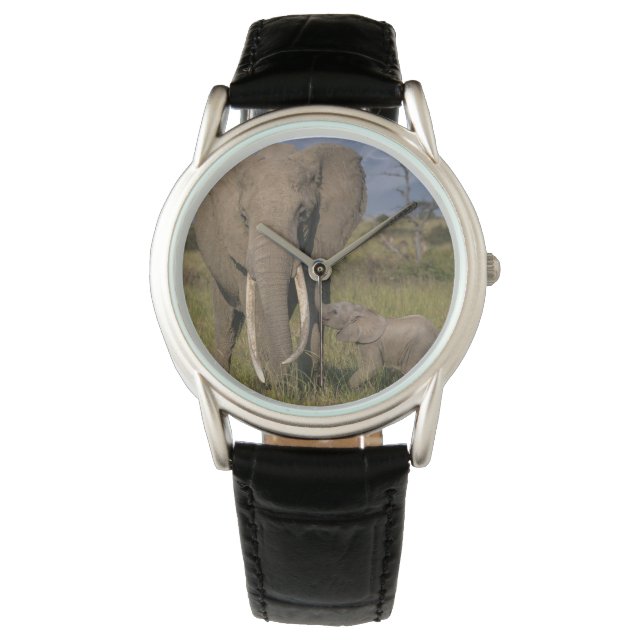 Montre Animaux de bébés cutest | Amama Elephant Avec Bébé (devant)