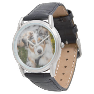 Montre Animaux de bébés cutest Australian Shepherd Pupp