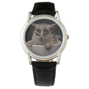 Montre Animaux de bébés cutest Bébé mignon