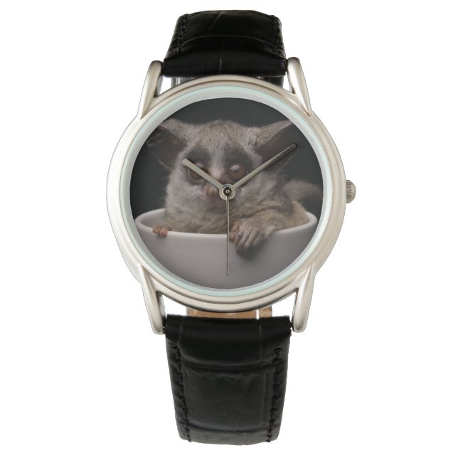Montre Animaux de bébés cutest | Bébé mignon (devant)