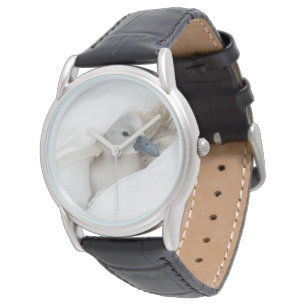 Montre Animaux de bébés cutest   Bébé Mute Swan