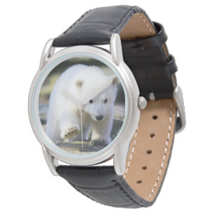 Montre Animaux de bébés cutest Bébé Ours Polaire Cub
