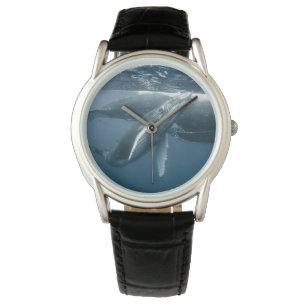 Montre Animaux de bébés cutest Calf de baleine à bosse