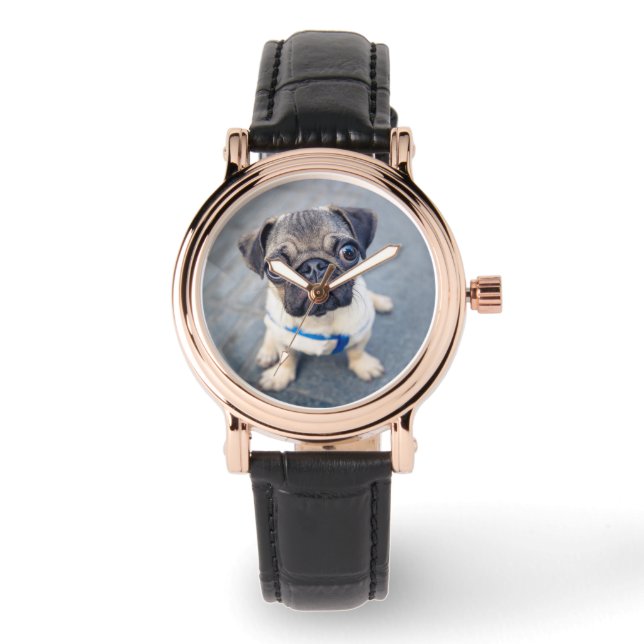Montre Animaux de bébés cutest | Carlin bébé (Recto)