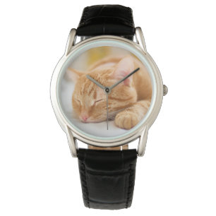 Montre Animaux de bébés cutest Chat de gingembre dorman
