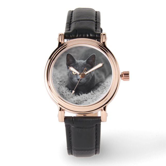 Montre Animaux de bébés cutest | Chat gris (Recto)