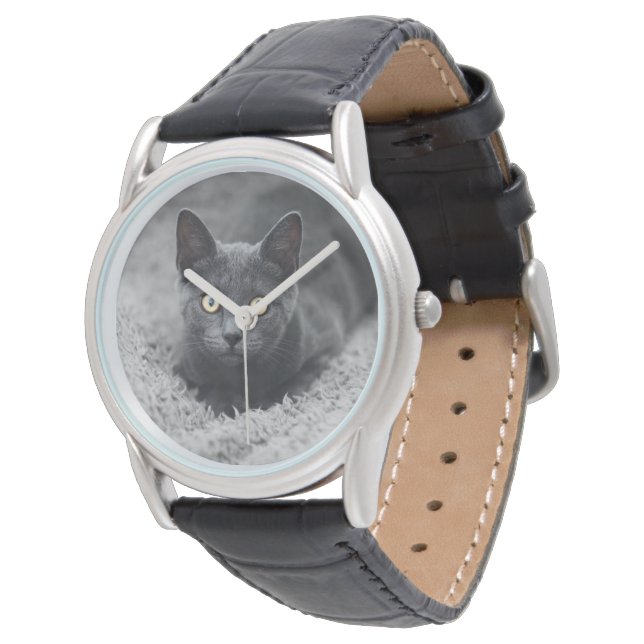 Montre Animaux de bébés cutest | Chat gris (Incliné)