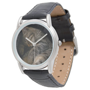 Montre Animaux de bébés cutest Chat Tabby Dormant