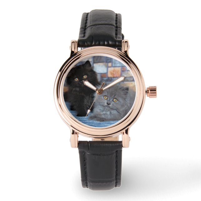 Montre Animaux de bébés cutest | Chatons persans sur couv (Recto)