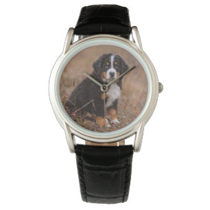 Montre Animaux de bébés cutest   Chien de montagne bernoi
