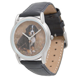 Montre Animaux de bébés cutest Chien de montagne bernoi