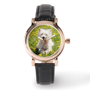 Montre Animaux de bébés cutest   Chien Westin en Dandelio
