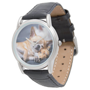 Montre Animaux de bébés cutest   Chihuahua Chig aux cheve