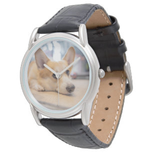 Montre Animaux de bébés cutest   Chiot de Corgi au sol