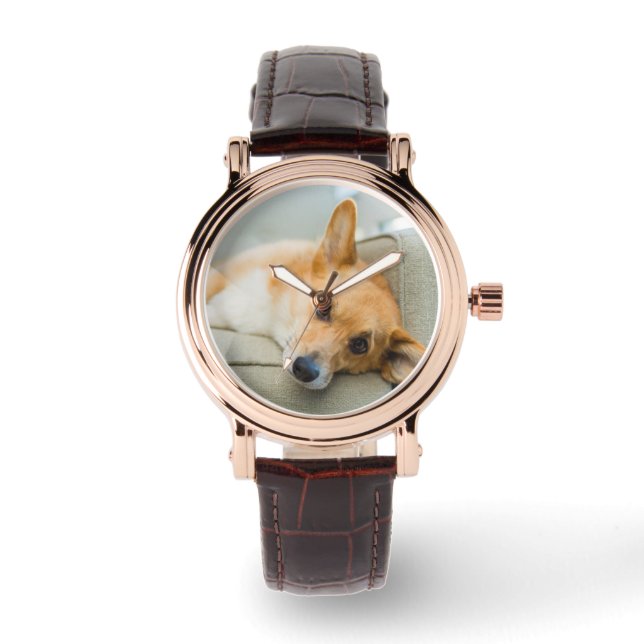 Montre Animaux de bébés cutest | Chiot de Corgi sur canap (Recto)