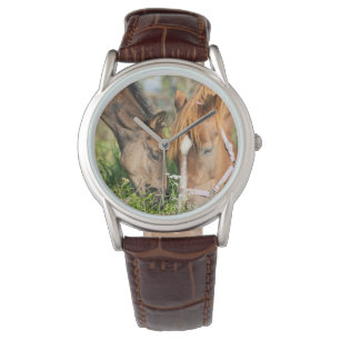 Montre Animaux de bébés cutest Colt à cheval